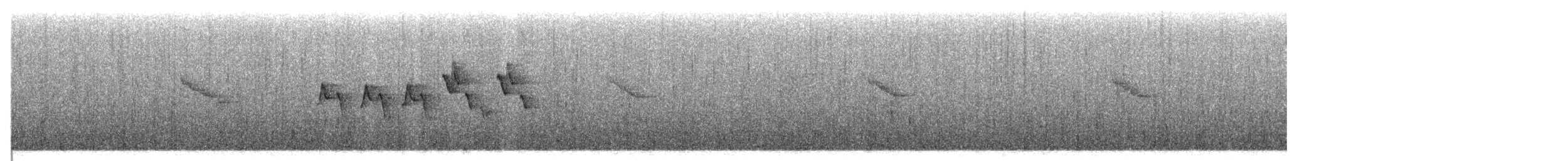 Gray-cheeked Warbler - ML567671021