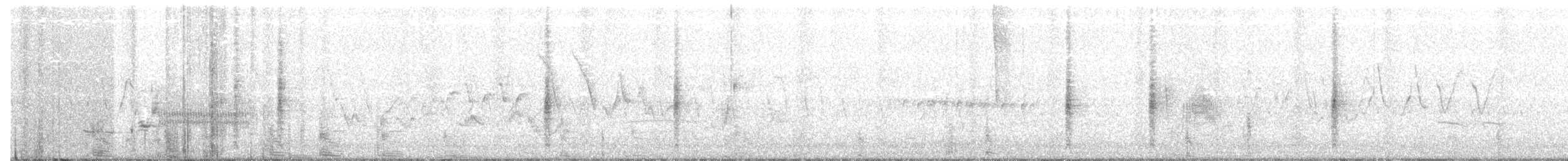 Willow Flycatcher - ML567689291