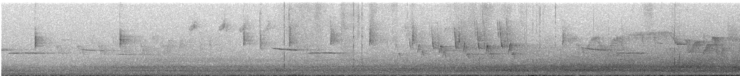 Louisiana Waterthrush - ML567702001