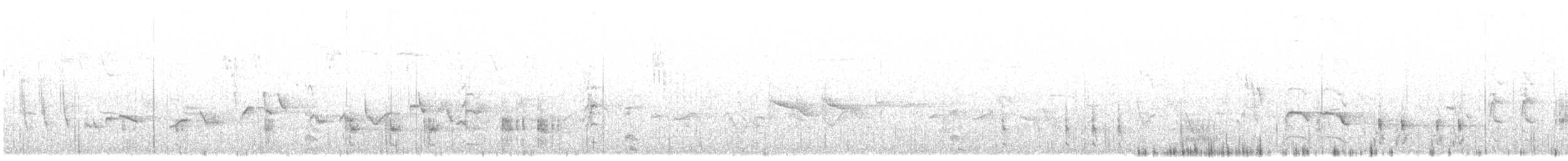 Great Reed Warbler - ML567705361