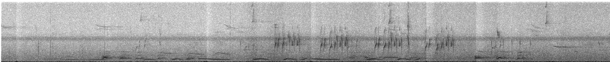 Peruvian Pigeon - ML567711511