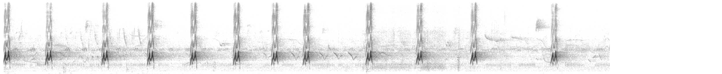 mestistyrann (nuttingi/inquietus) - ML567753981