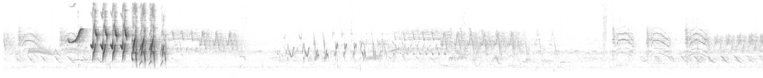 oaxacaspurv - ML567754371