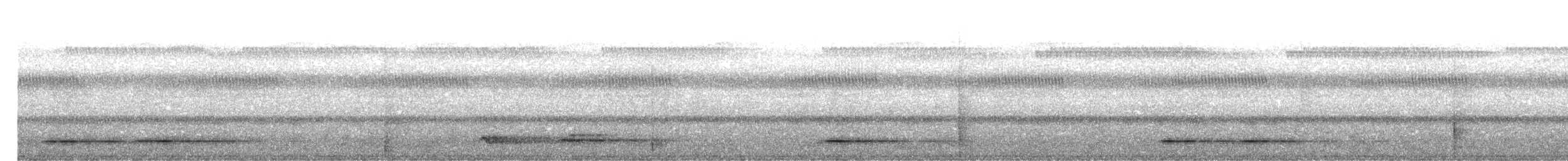 White-throated Toucan - ML567797261