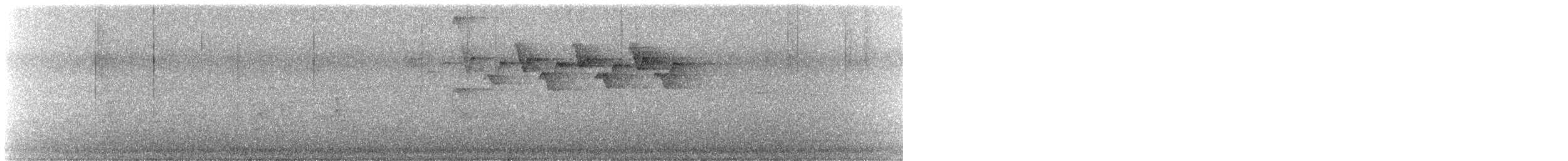 Black-and-white Warbler - ML567812481