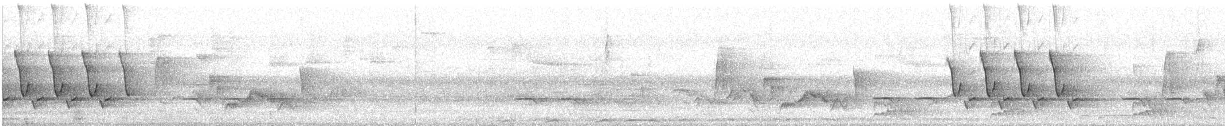 チャバラマユミソサザイ - ML56782801