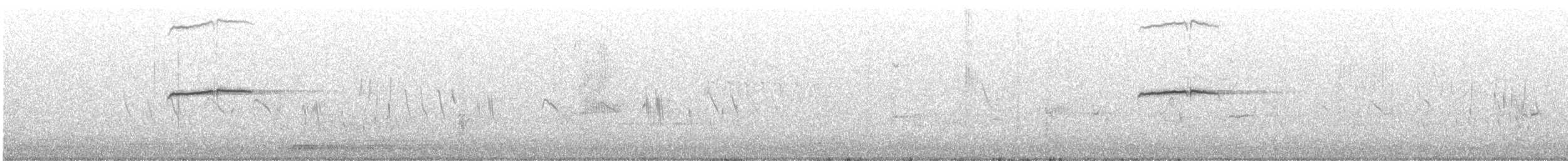 oiseau sp. - ML567843951