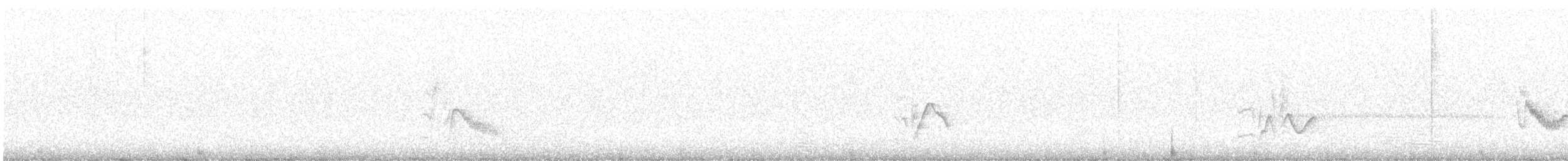 Cassin's Vireo - ML567853151