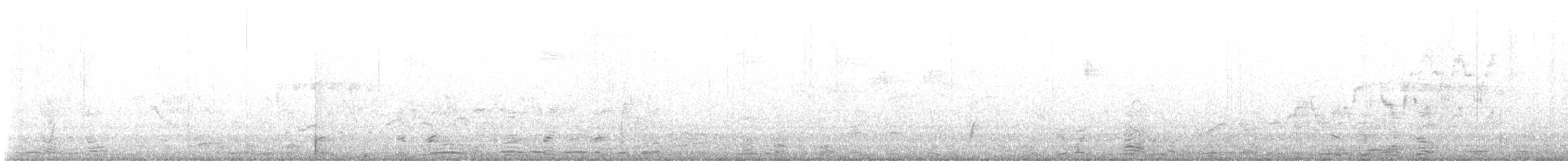 Дрізд-короткодзьоб Cвенсона [група ustulatus] - ML567858771
