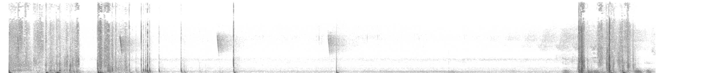 Swainson's Warbler - ML567865741