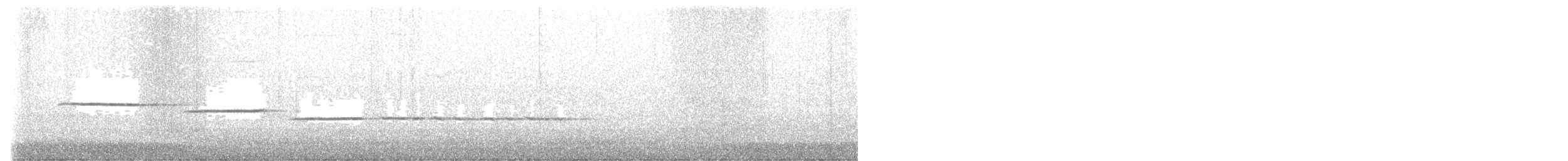 Белогорлая зонотрихия - ML567895201