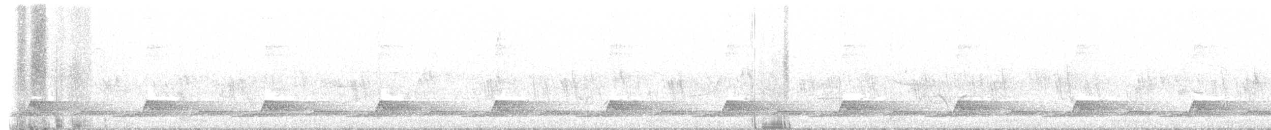 Schwarzkehl-Nachtschwalbe - ML567913681