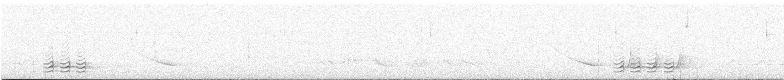 Weißbrustkleiber - ML567932511