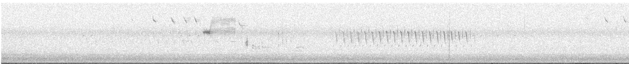 Savannah Serçesi [sandwichensis grubu] - ML567964231