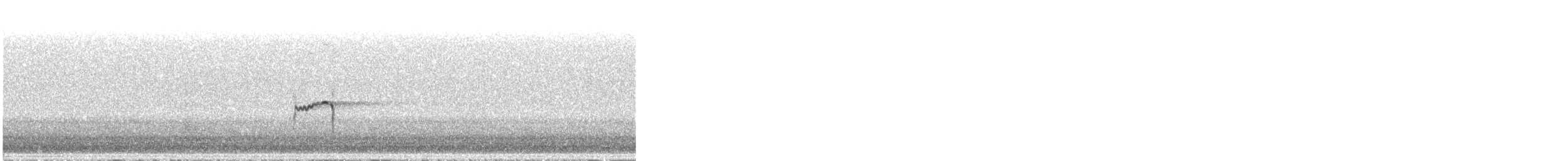 Least Sandpiper - ML567968281