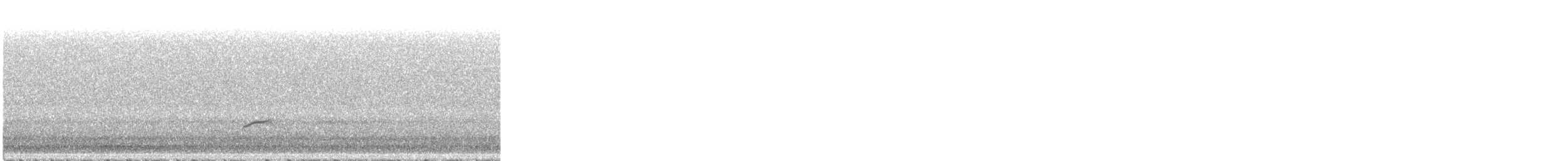 Swainson's Thrush - ML567968671