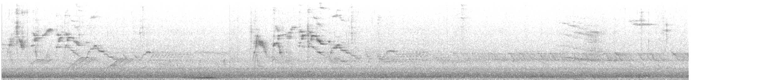 Gray-cheeked/Bicknell's Thrush - ML568066561