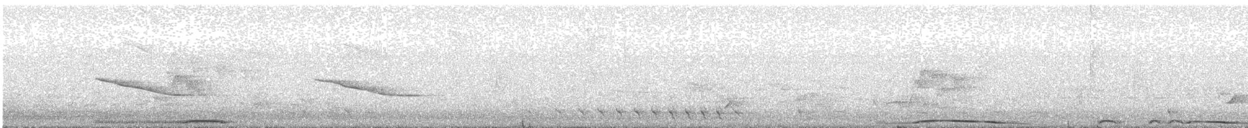 holub středoamerický - ML568077851