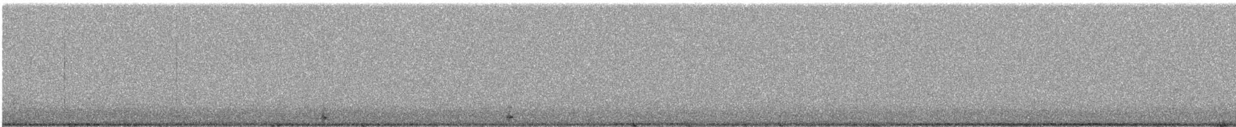 Common Poorwill - ML568105011