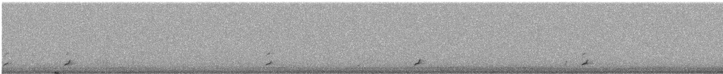 Swainson's Thrush - ML568105081