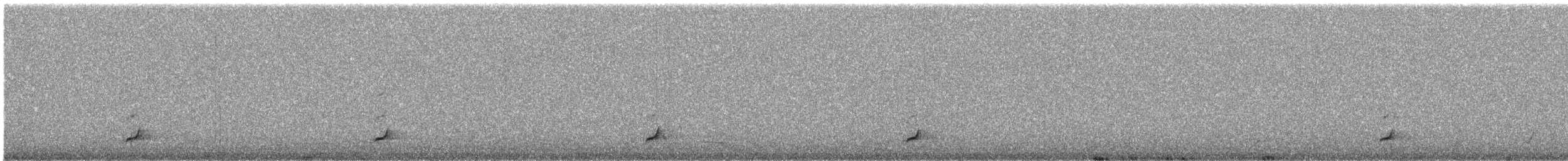 Swainson's Thrush - ML568105091