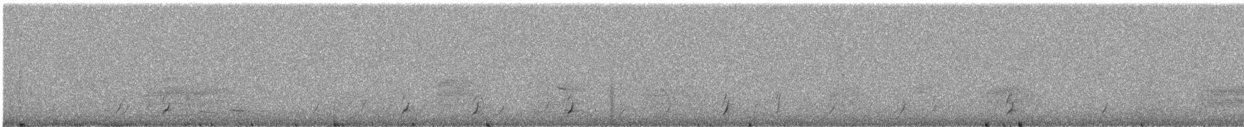 Swainson's Thrush - ML568105111