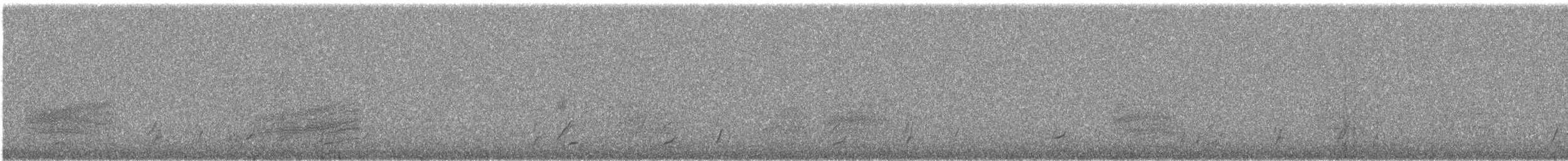 Swainson's Thrush - ML568105121