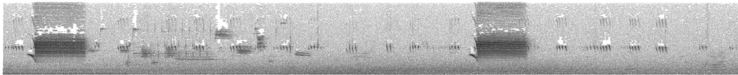 Spotted Towhee (oregonus Group) - ML568115141