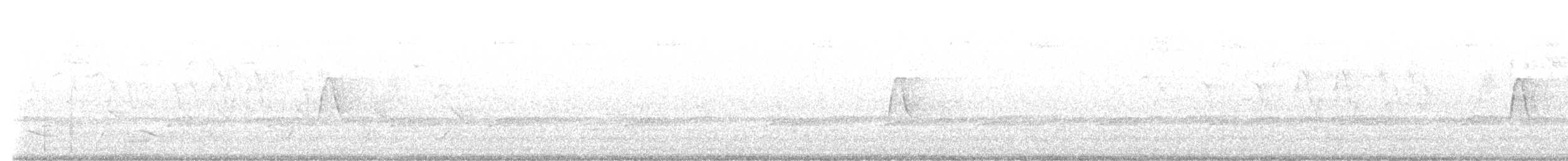 Moucherolle vert - ML568126021