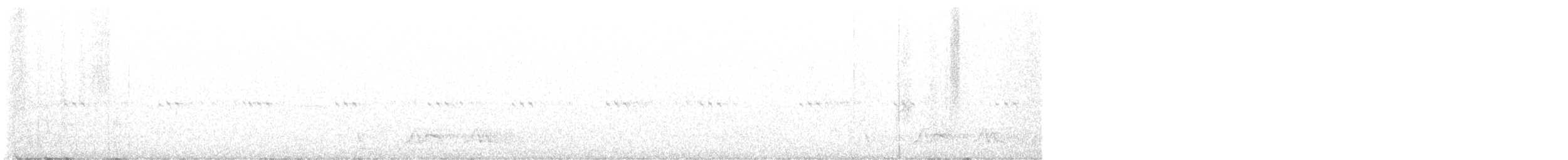 Carolinanachtschwalbe - ML568140721