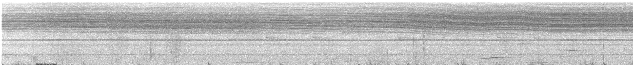 holub černobradý - ML568143201