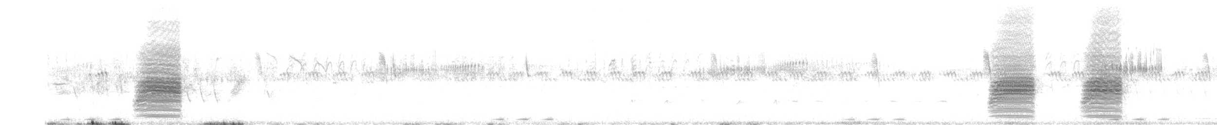 Пиренейский сорокопут - ML568191841