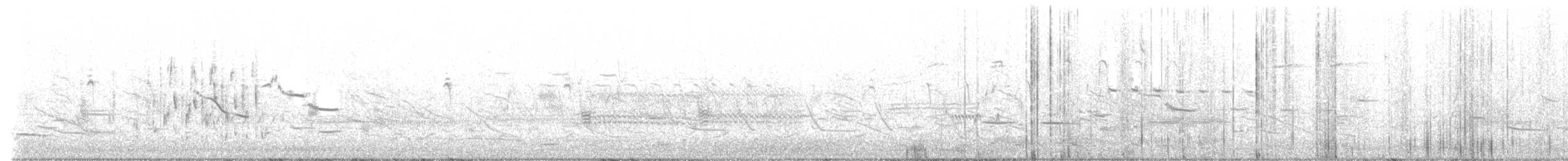 Troglodyte des marais - ML568199551
