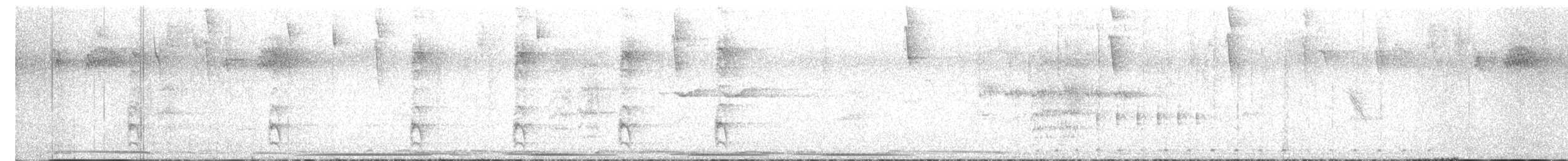 Puerto Rican Woodpecker - ML568228401