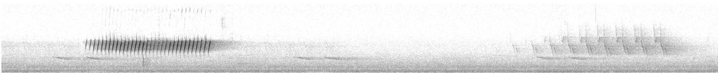 Pine Warbler - ML568240751