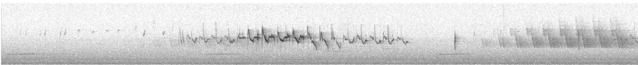 Yellow-rumped Warbler (Myrtle) - ML568240861