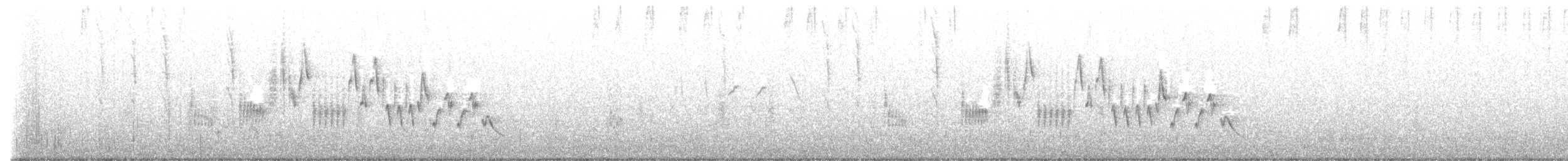 Northern House Wren - ML568249211