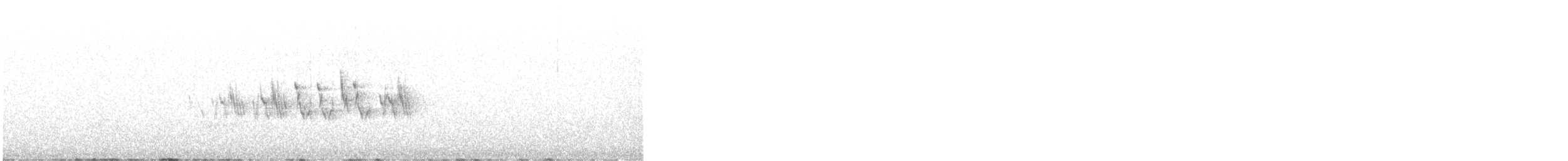 new world warbler sp. - ML568283091