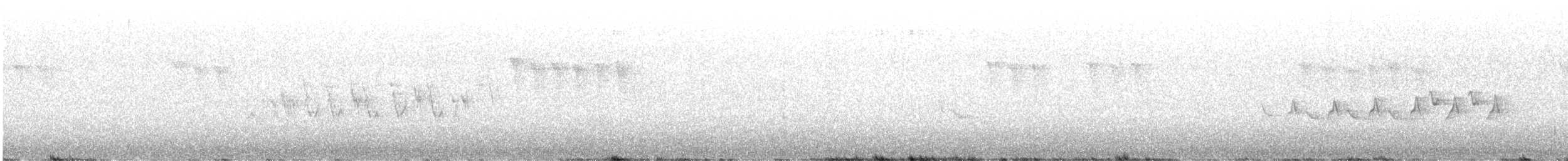 Painted Redstart - ML568284191