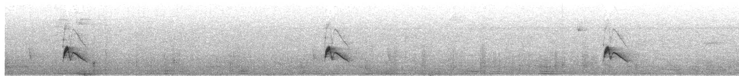 Blackish Pewee - ML568340321