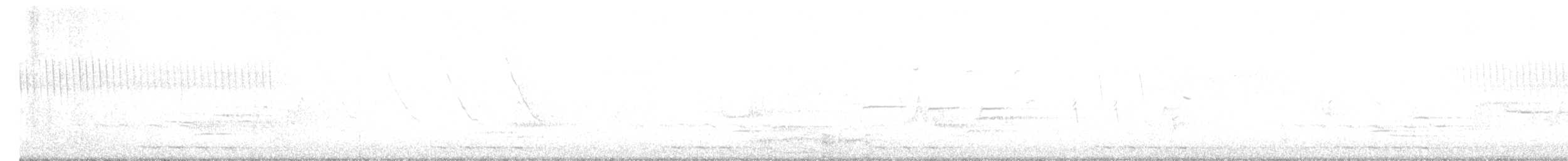 Black-billed Cuckoo - ML568361381