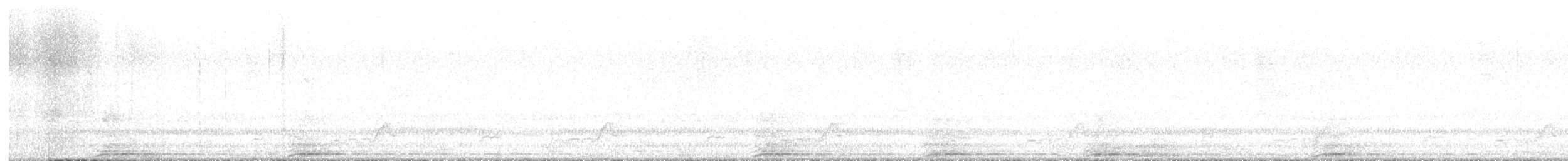 Schwarzkehl-Nachtschwalbe - ML568441971