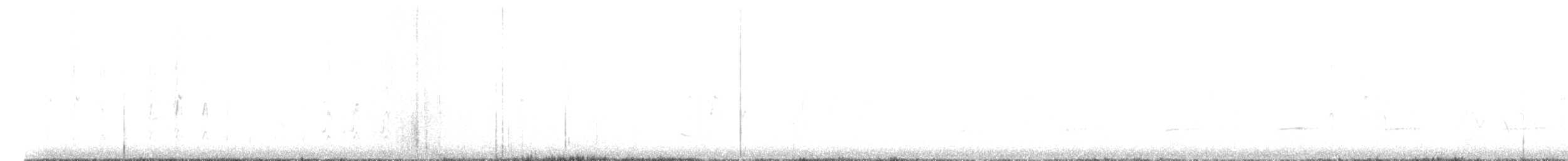 White-headed Woodpecker - ML568469631