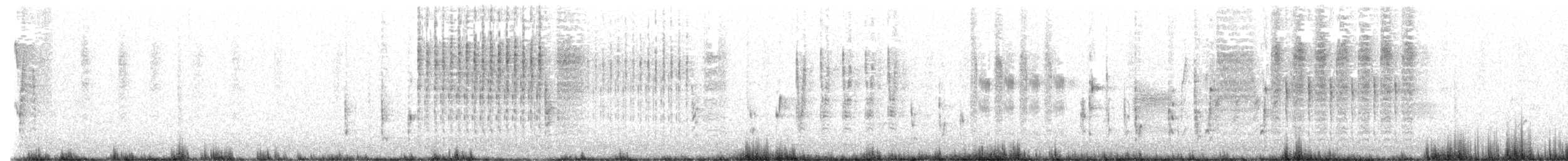 Marsh Wren (paludicola Group) - ML568484921