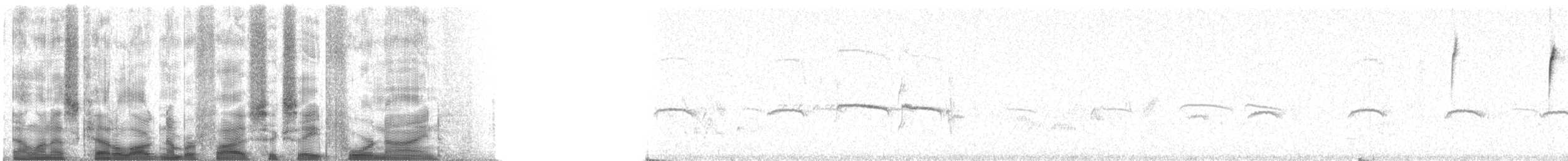 Botteri's Sparrow (Botteri's) - ML56849