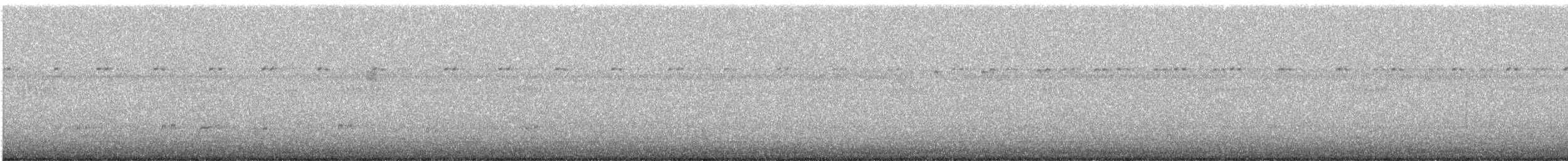 Дрізд-короткодзьоб Cвенсона - ML568517991