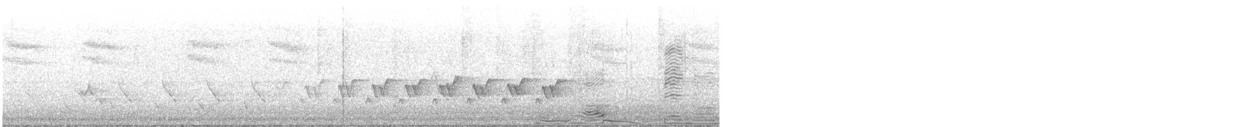 Kentucky Warbler - ML568581981