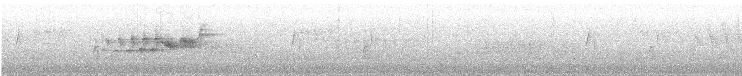 Black-throated Gray Warbler - ML568598271