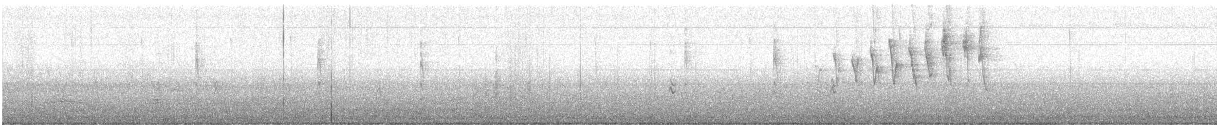 Paruline à calotte noire (chryseola) - ML568698561