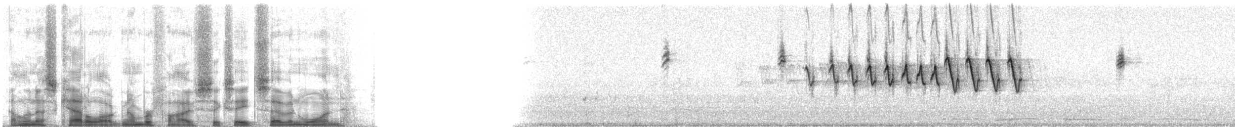 Lucy's Warbler - ML56871